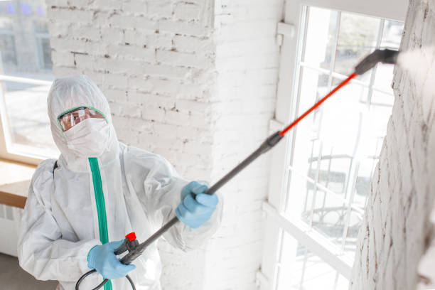 Best Mold Removal for HVAC Installations  in Sheridan, IN