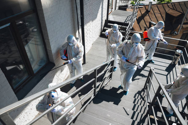 Best Real Estate Mold Inspection  in Sheridan, IN