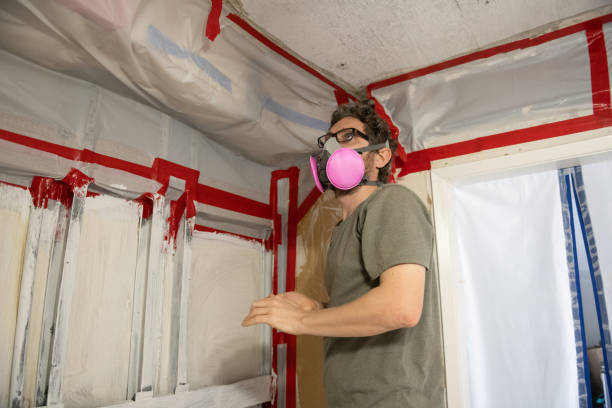 Best Air Quality Testing for Mold Spores  in Sheridan, IN