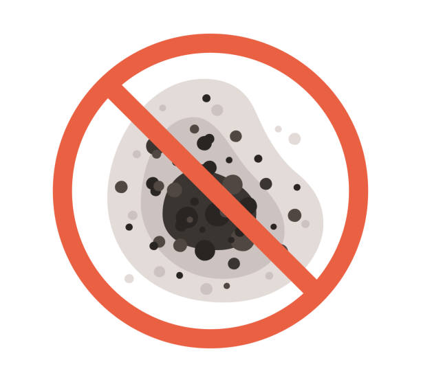 Best Commercial Mold Inspection  in Sheridan, IN