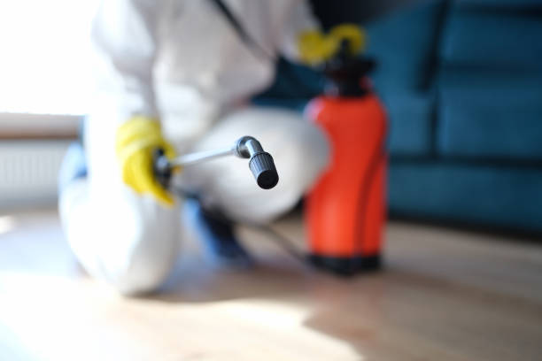 Best Industrial Mold Remediation  in Sheridan, IN