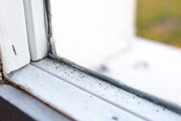 Best Comprehensive Air Testing for Mold Contaminants  in Sheridan, IN