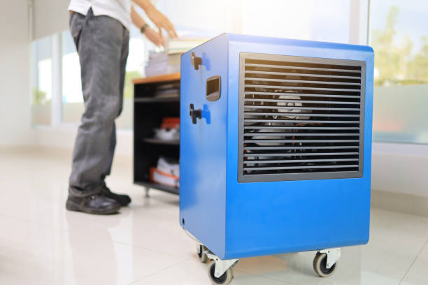 Best Comprehensive Air Testing for Mold Contaminants  in Sheridan, IN