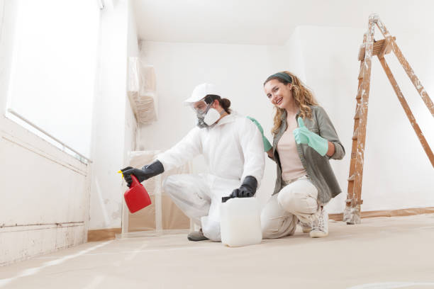 Professional Mold Removal in Sheridan, IN