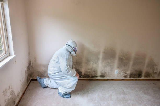 Best Airborne Mold Testing  in Sheridan, IN